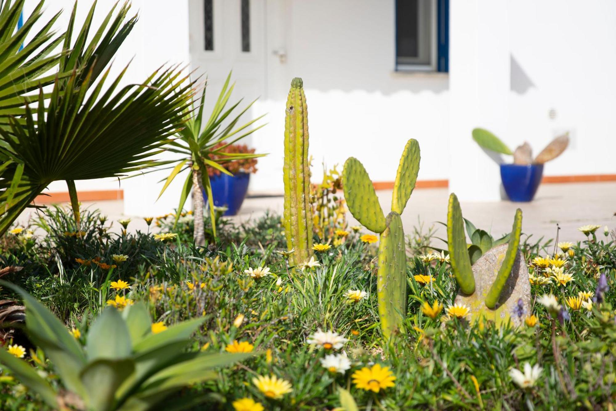 Marecasa Villa Aljezur Exterior photo